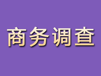 安平商务调查